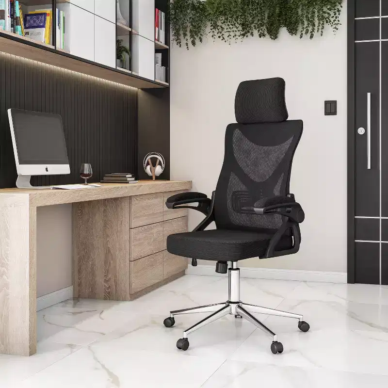 Mesh Ergonomic Office Chair with Adjustable Headrest & Chrome Base