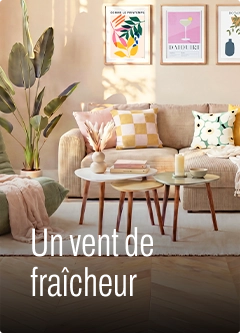 Meubles de salon