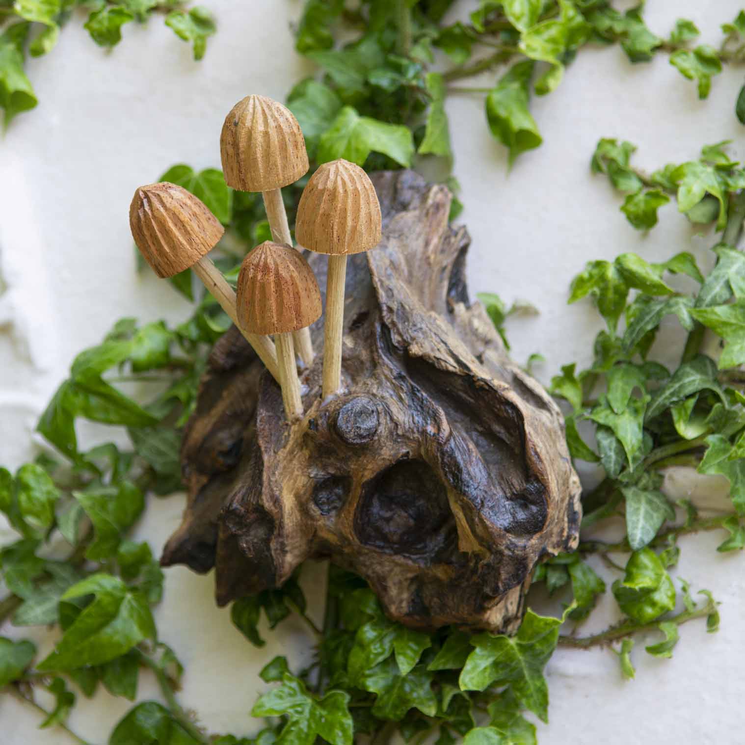 Carved Mushroom Wall Piece, Small