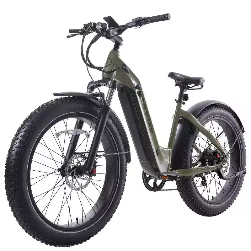 Electric Hybrid Bike