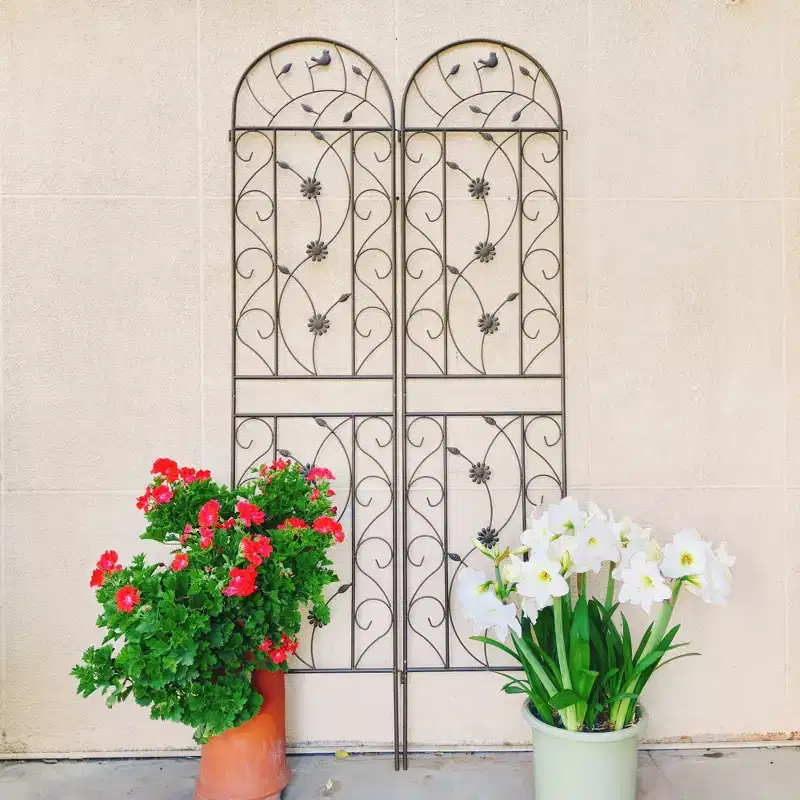 Plantes & Fleurs