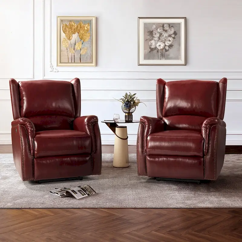 Eduardo Genuine Leather Power Recliner with USB Port Set of 2