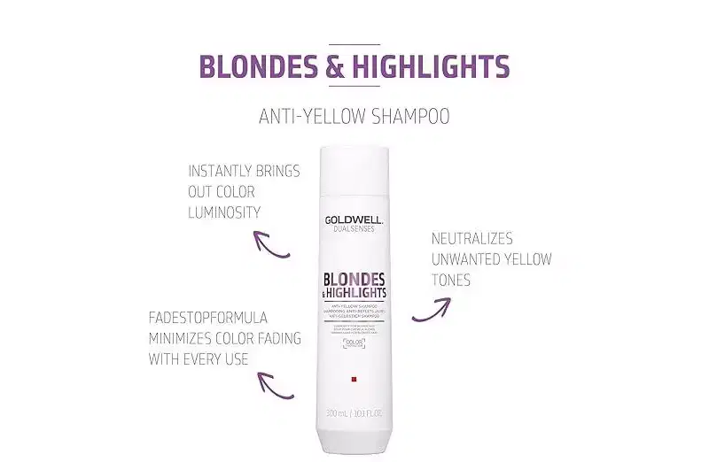Dual Senses Goldwell Blondes & Highlights Anti-Yellow Shampoo & Conditioner (10 oz) DUO SET KIT Dualsenses for Blonde or Highlighted Hair