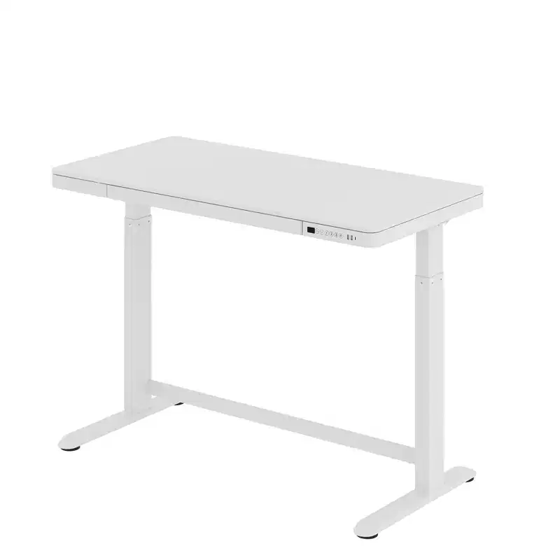 FlexiSpot EW8 Series Electric Height Adjustable Standing Desk