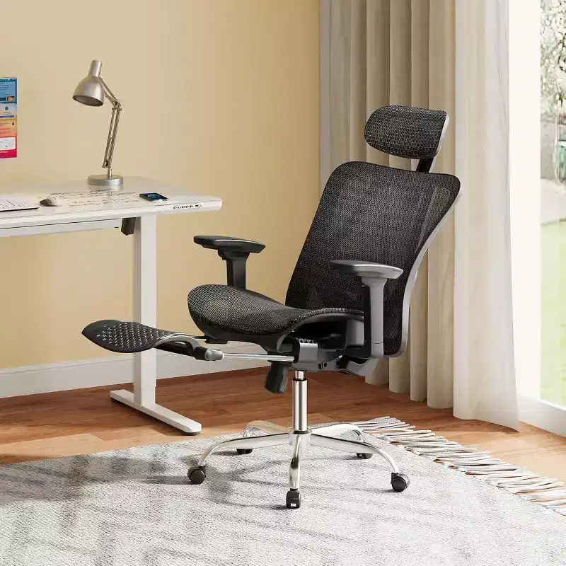 High Back Ergonomic Mesh Office Chair with Retractable Footrest and Adjustable Lumbar - Black