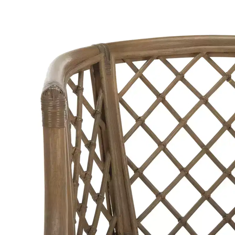 Carlotta Arm Chair - SEA4013 - Safavieh