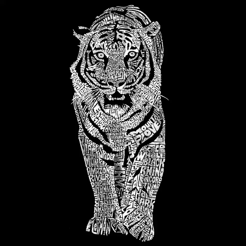 LA Pop Art Boy's Word Art Long Sleeve - TIGER