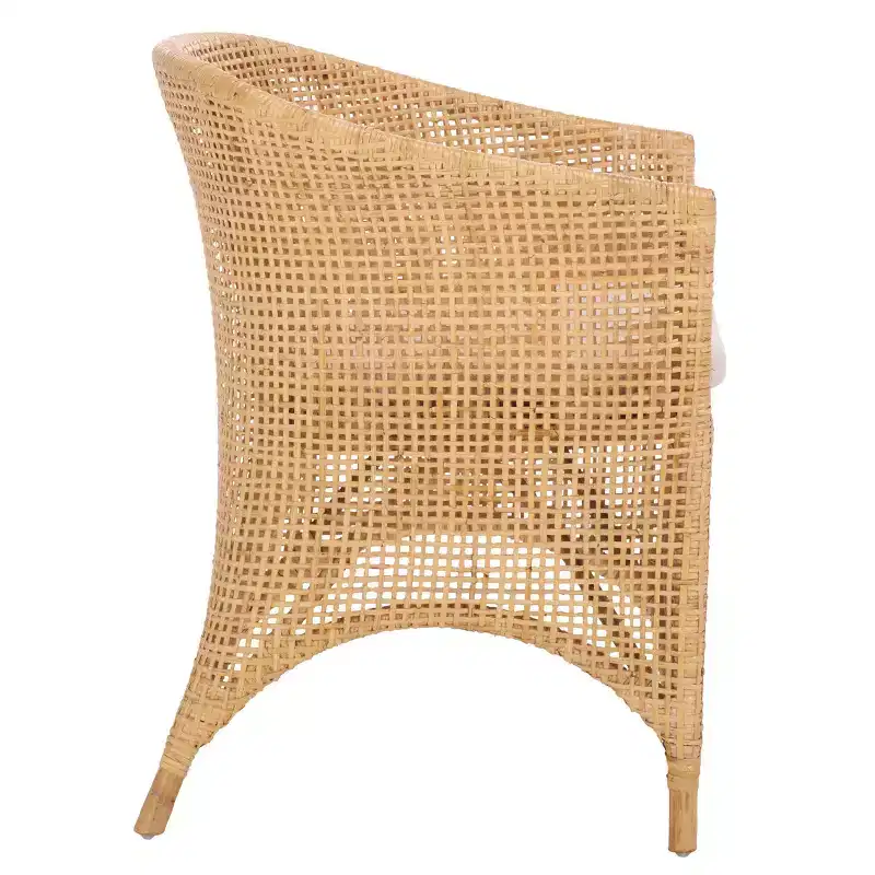 Taina Accent Chair - ACH6534 - Natural/White - Safavieh