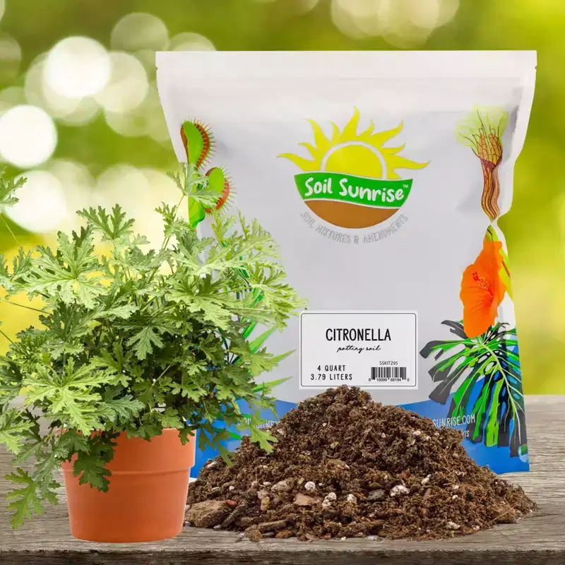 Soil Sunrise Citronella Plant Potting Soil Mix, for Pelargonium Citrosum, Indoor/Outdoor Container Gardening