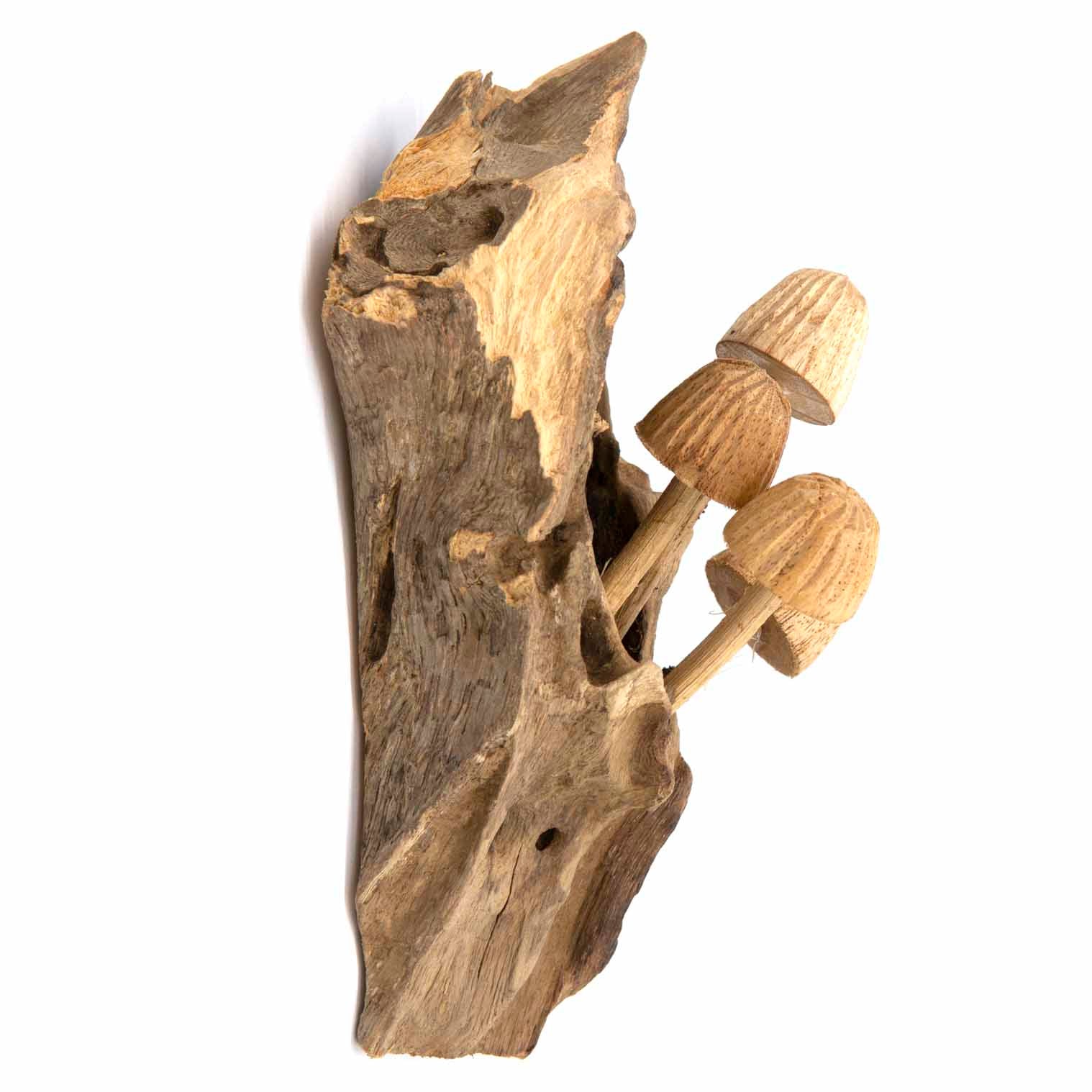 Carved Mushroom Wall Piece, Small