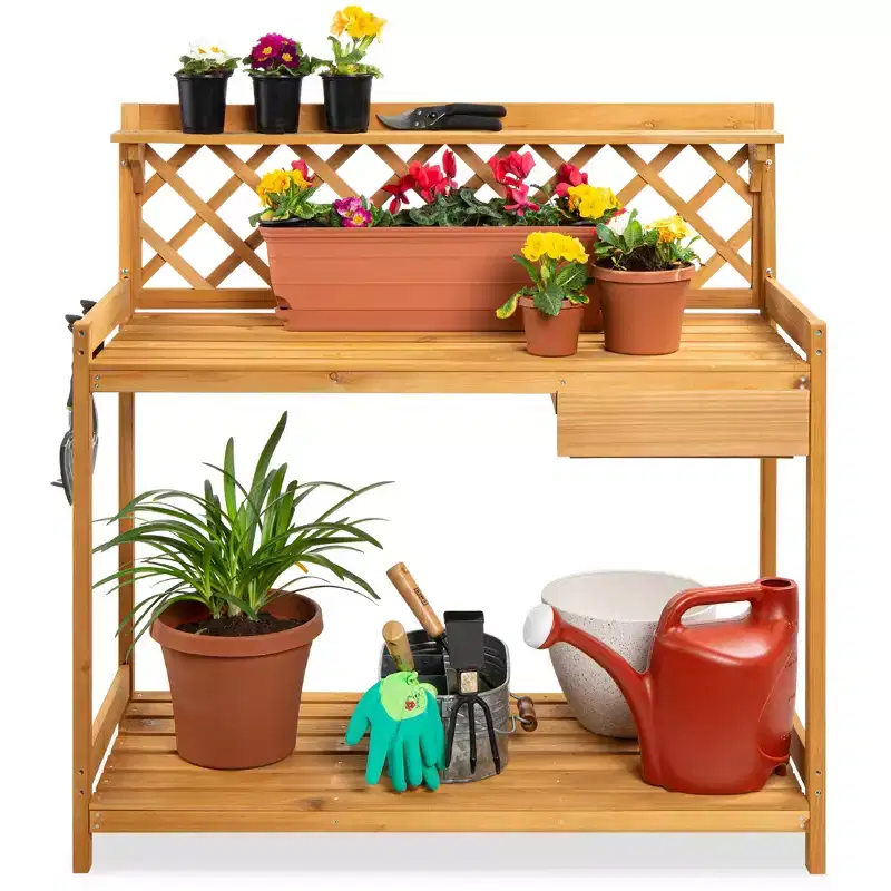 Jardin : tout à -50 %