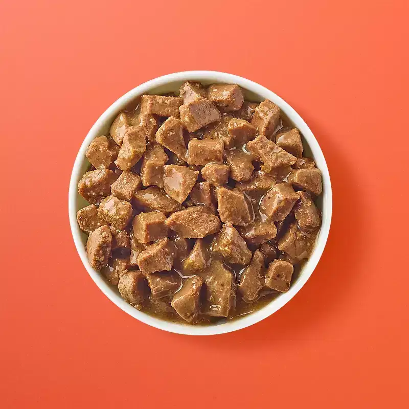 Minced Tuna Recipe Cuts in Broth Wet Cat Food - Kindfull™ 2.75oz