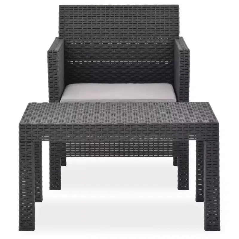 vidaXL 2 Piece Patio Lounge Set with Cushion PP Rattan Anthracite