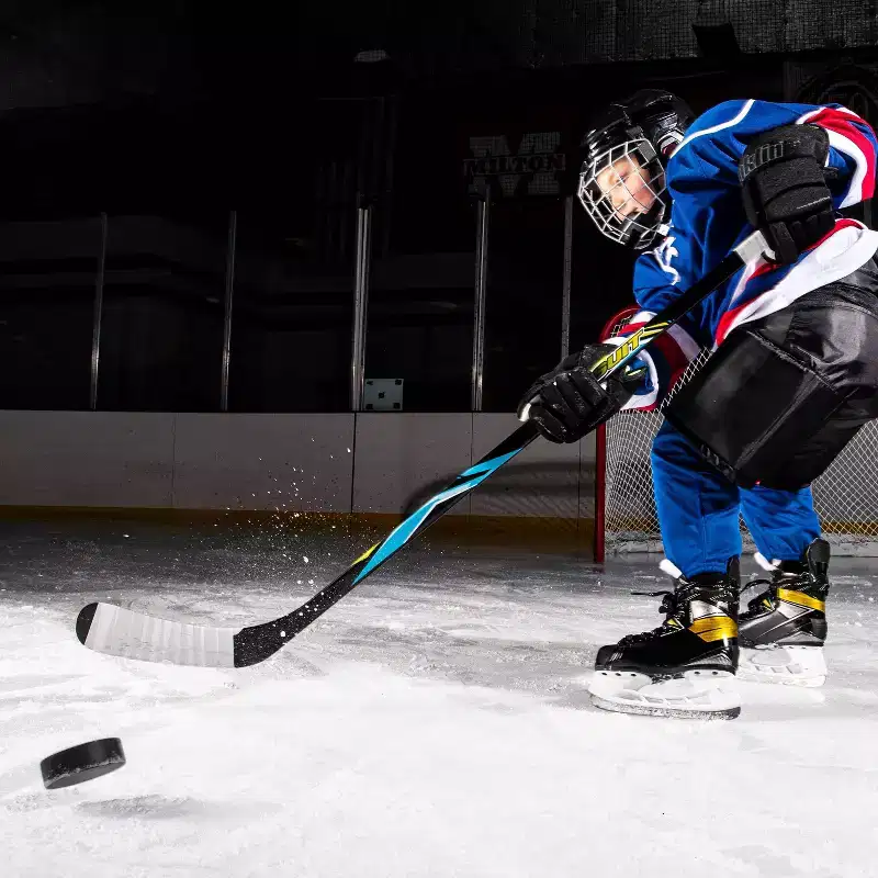 Franklin Sports Ice Hockey Puck - Black