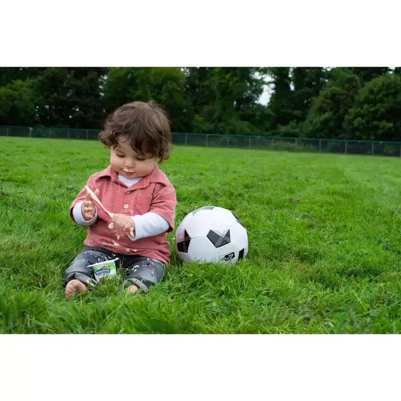 Stonyfield Organic YoBaby Whole Milk Probiotic Yogurt