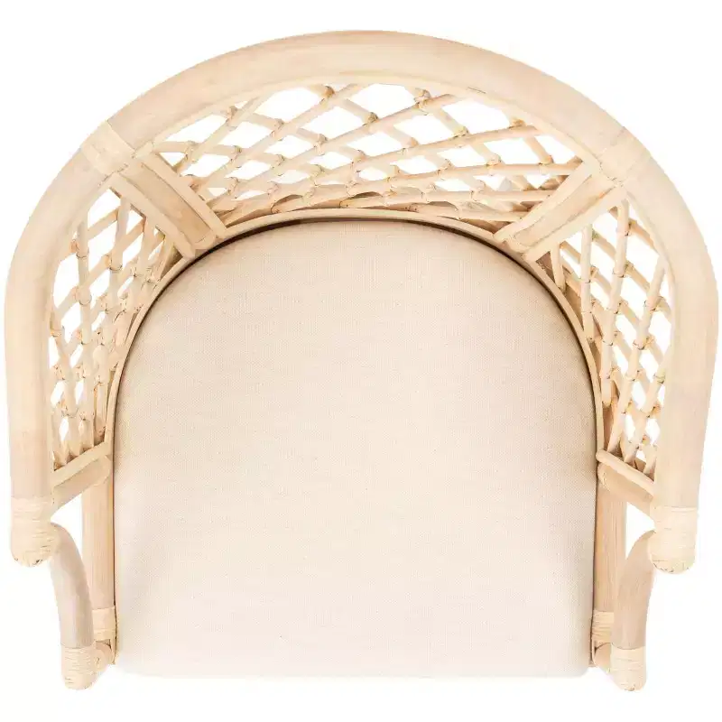 Carlotta Arm Chair - SEA4013 - Safavieh