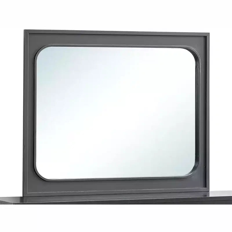 Passion Furniture Wave 45 in. W x 36 in. H Rectangle Wood Frame Wenge Dresser Mirror