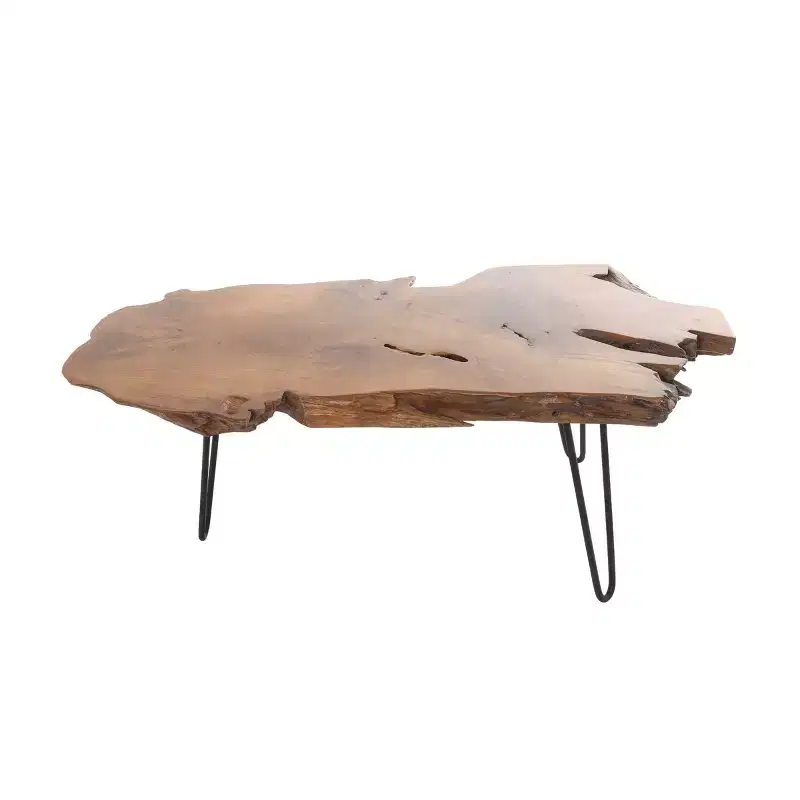 Olivia & May Teak Wood Handmade Live Edge Coffee Table with Black Metal Hairpin Legs Brown