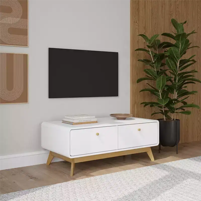Ren Home Leva Scandinavian 2 Drawer Curved Entertainment Console, White