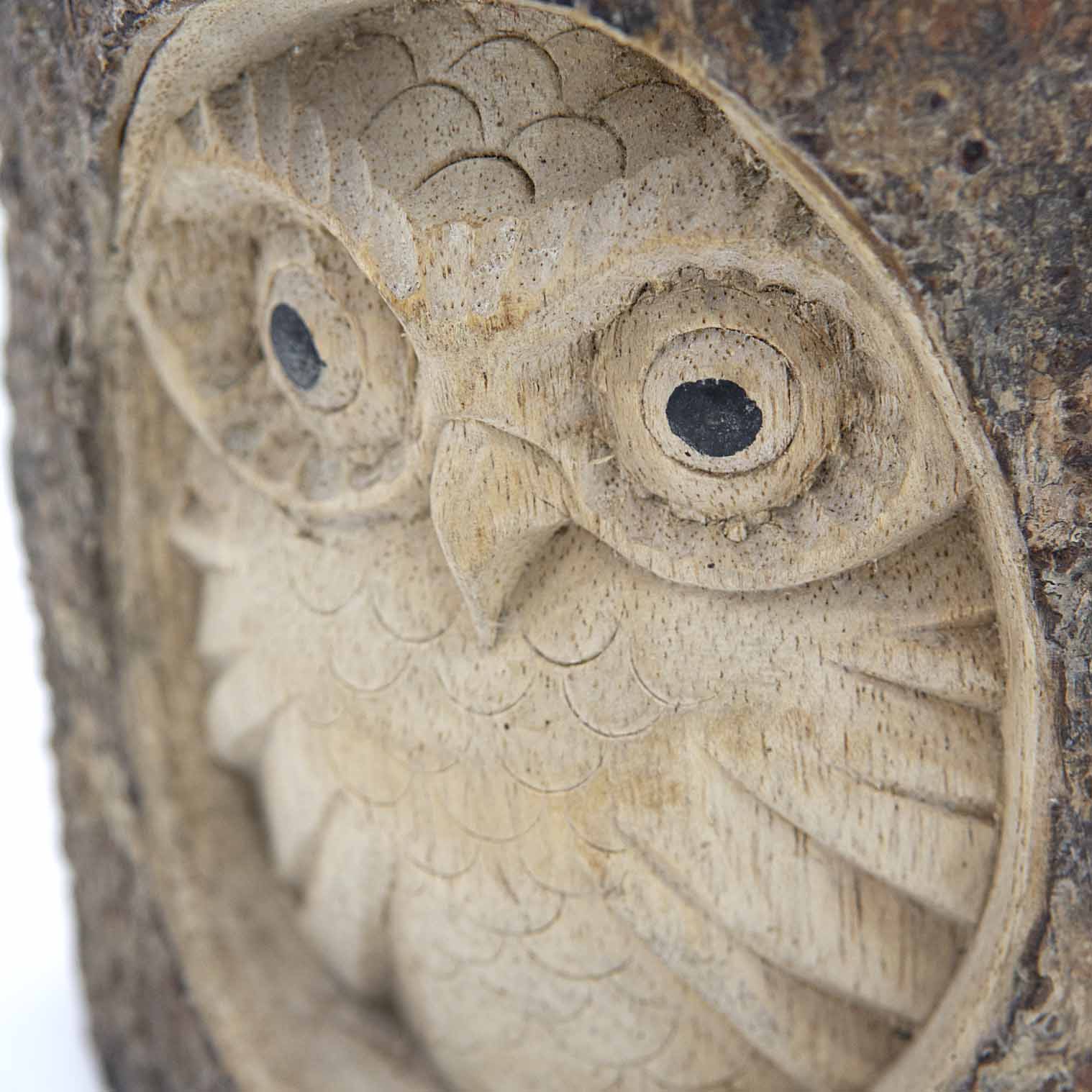 Owl Carved in Log Section