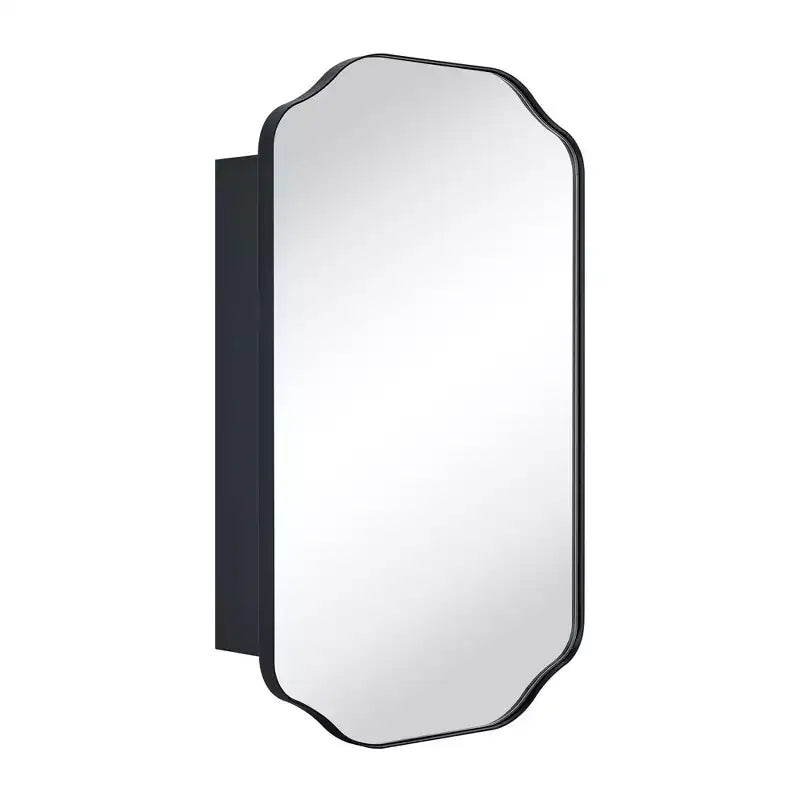 TEHOME Osterhus 18 in. W. x 29 in.Arched Metal Rectangular Surface Mount Medicine Cabinet with Mirror in Matt Black
