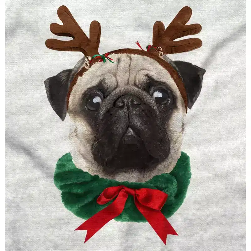 Christmas Reindeer Pug Adorable Hoodie Sweatshirt Women Men Brisco Brands