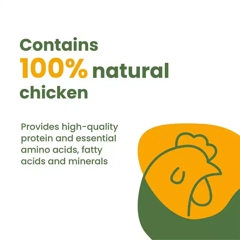 Almo Nature: HQS Pate' Cat Chicken Recipe W/ Pumpkin In Gravy Can Food, 24 Pack